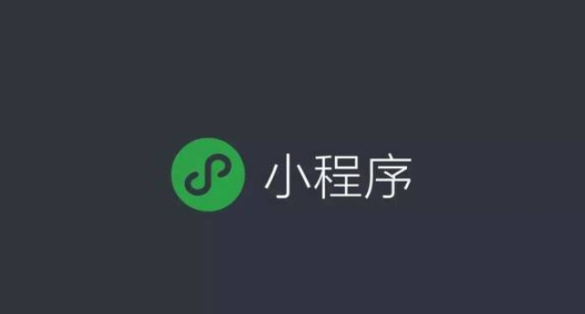 專業(yè)的小程序網(wǎng)站開發(fā)公司,小程序開發(fā)公司